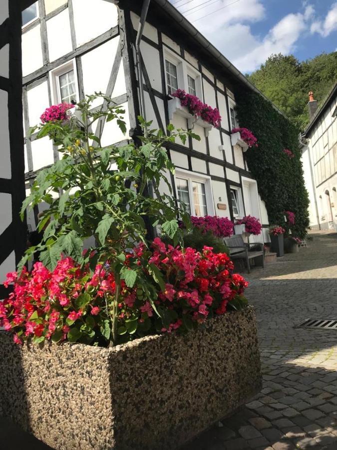 Ferienapartment: An Der Kunstakademie Heimbach Kültér fotó